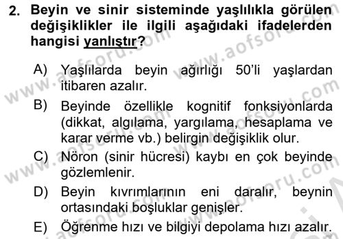 Yaşlı Psikolojisi Dersi 2022 - 2023 Yılı (Vize) Ara Sınav Soruları 2. Soru
