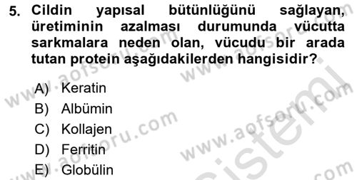 Yaşlı Psikolojisi Dersi 2022 - 2023 Yılı (Vize) Ara Sınav Soruları 5. Soru