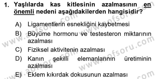 Yaşlı Psikolojisi Dersi 2022 - 2023 Yılı (Final) Dönem Sonu Sınav Soruları 1. Soru