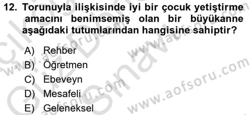 Yaşlı Psikolojisi Dersi 2022 - 2023 Yılı (Final) Dönem Sonu Sınav Soruları 12. Soru