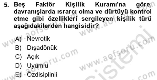Yaşlı Psikolojisi Dersi 2022 - 2023 Yılı (Final) Dönem Sonu Sınav Soruları 5. Soru