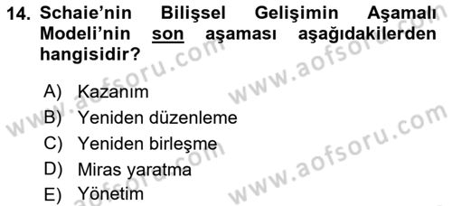 Yaşlı Psikolojisi Dersi 2022 - 2023 Yılı Yaz Okulu Sınav Soruları 14. Soru