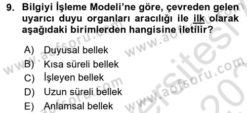Yaşlı Psikolojisi Dersi 2022 - 2023 Yılı Yaz Okulu Sınav Soruları 9. Soru