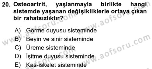 Yaşlı Psikolojisi Dersi 2023 - 2024 Yılı (Vize) Ara Sınav Soruları 20. Soru