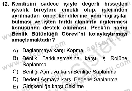 Yaşlı Psikolojisi Dersi 2023 - 2024 Yılı (Final) Dönem Sonu Sınav Soruları 12. Soru