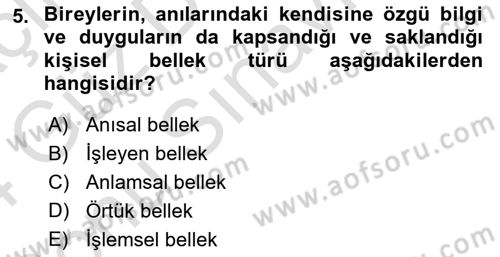 Yaşlı Psikolojisi Dersi 2023 - 2024 Yılı (Final) Dönem Sonu Sınav Soruları 5. Soru