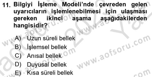 Yaşlı Psikolojisi Dersi 2023 - 2024 Yılı Yaz Okulu Sınav Soruları 11. Soru