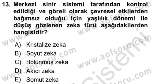 Yaşlı Psikolojisi Dersi 2023 - 2024 Yılı Yaz Okulu Sınav Soruları 13. Soru