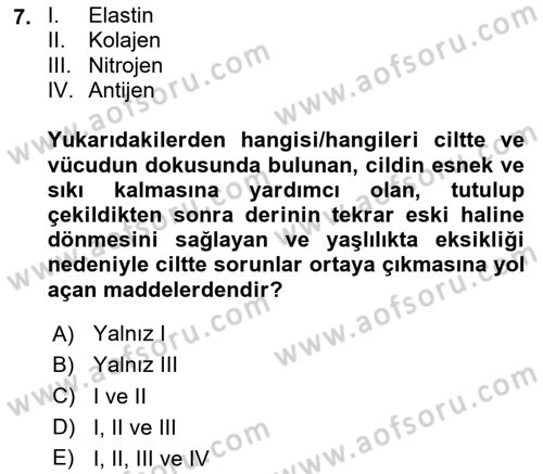 Yaşlı Psikolojisi Dersi 2023 - 2024 Yılı Yaz Okulu Sınav Soruları 7. Soru