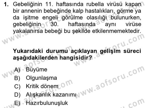 Yaşlı Psikolojisi Dersi 2024 - 2025 Yılı (Vize) Ara Sınavı 1. Soru