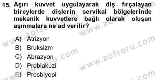 Yaşlı Psikolojisi Dersi 2024 - 2025 Yılı (Vize) Ara Sınavı 15. Soru