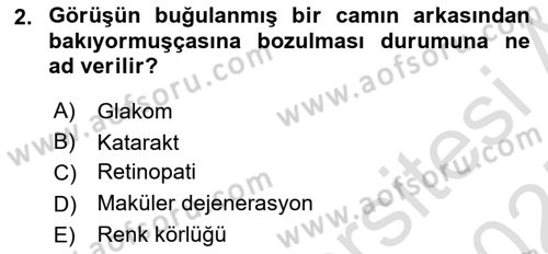 Yaşlı Psikolojisi Dersi 2024 - 2025 Yılı (Vize) Ara Sınavı 2. Soru