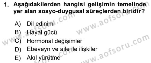Yaşlı Psikolojisi Dersi 2024 - 2025 Yılı (Final) Dönem Sonu Sınav Soruları 1. Soru