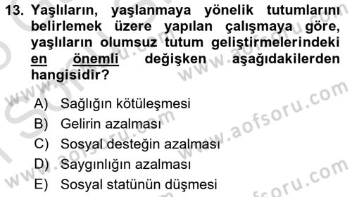 Yaşlı Psikolojisi Dersi 2024 - 2025 Yılı (Final) Dönem Sonu Sınav Soruları 13. Soru