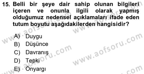 Yaşlı Psikolojisi Dersi 2024 - 2025 Yılı (Final) Dönem Sonu Sınav Soruları 15. Soru