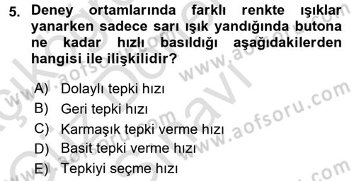 Yaşlı Psikolojisi Dersi 2024 - 2025 Yılı (Final) Dönem Sonu Sınav Soruları 5. Soru