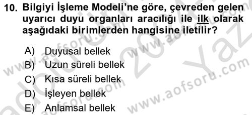 Yaşlı Psikolojisi Dersi 2024 - 2025 Yılı Yaz Okulu Sınav Soruları 10. Soru