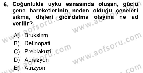 Yaşlı Psikolojisi Dersi 2024 - 2025 Yılı Yaz Okulu Sınav Soruları 6. Soru