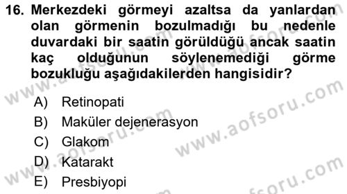 Yaşlı Psikolojisi Dersi 2025 - 2026 Yılı (Vize) Ara Sınav Soruları 16. Soru