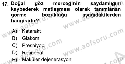 Yaşlı Psikolojisi Dersi 2025 - 2026 Yılı (Vize) Ara Sınav Soruları 17. Soru