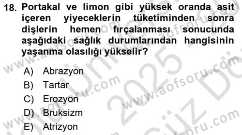 Yaşlı Psikolojisi Dersi 2025 - 2026 Yılı (Vize) Ara Sınav Soruları 18. Soru