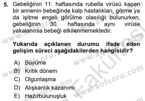 Yaşlı Psikolojisi Dersi 2025 - 2026 Yılı (Vize) Ara Sınav Soruları 5. Soru