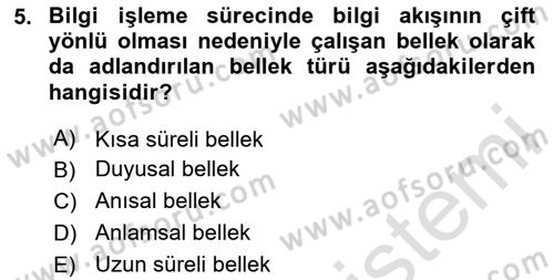 Yaşlı Psikolojisi Dersi 2025 - 2026 Yılı (Final) Dönem Sonu Sınav Soruları 5. Soru