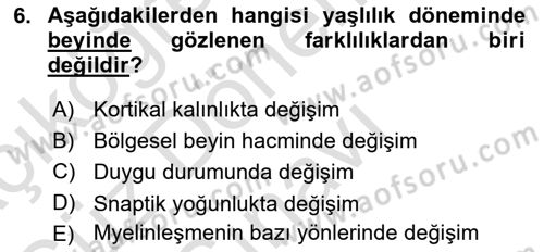 Yaşlı Psikolojisi Dersi 2025 - 2026 Yılı (Final) Dönem Sonu Sınav Soruları 6. Soru