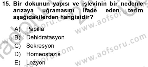 Fiziksel Rehabilitasyon Dersi 2016 - 2017 Yılı 3 Ders Sınav Soruları 15. Soru