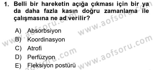 Fiziksel Rehabilitasyon Dersi 2016 - 2017 Yılı (Final) Dönem Sonu Sınav Soruları 1. Soru