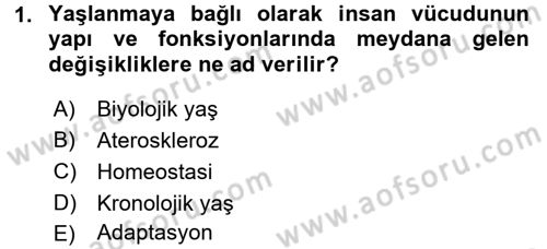 Fiziksel Rehabilitasyon Dersi 2017 - 2018 Yılı (Vize) Ara Sınavı 1. Soru