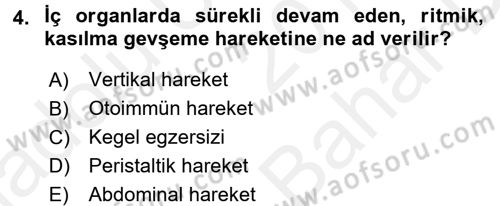 Fiziksel Rehabilitasyon Dersi 2017 - 2018 Yılı (Vize) Ara Sınavı 4. Soru