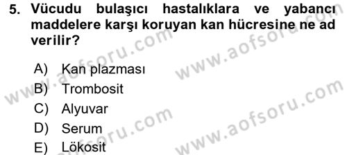 Fiziksel Rehabilitasyon Dersi 2017 - 2018 Yılı (Vize) Ara Sınavı 5. Soru