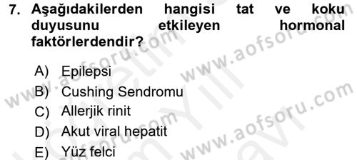 Fiziksel Rehabilitasyon Dersi 2017 - 2018 Yılı (Vize) Ara Sınavı 7. Soru