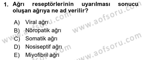 Fiziksel Rehabilitasyon Dersi 2018 - 2019 Yılı 3 Ders Sınav Soruları 1. Soru
