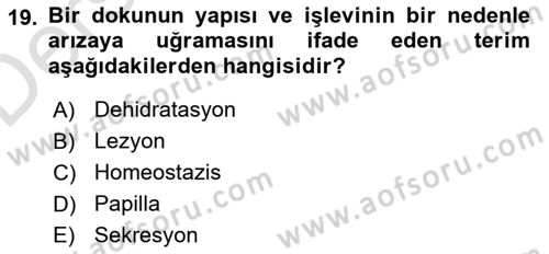 Fiziksel Rehabilitasyon Dersi 2018 - 2019 Yılı 3 Ders Sınav Soruları 19. Soru