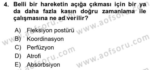 Fiziksel Rehabilitasyon Dersi 2018 - 2019 Yılı 3 Ders Sınav Soruları 4. Soru