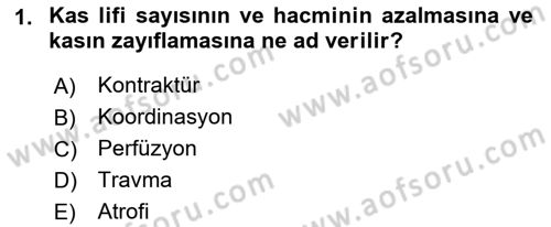 Fiziksel Rehabilitasyon Dersi Ara Sınavı Deneme Sınav Soruları 1. Soru