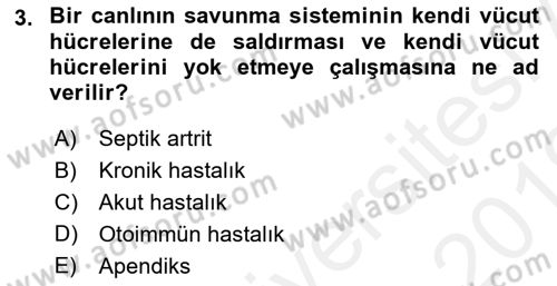 Fiziksel Rehabilitasyon Dersi Ara Sınavı Deneme Sınav Soruları 3. Soru