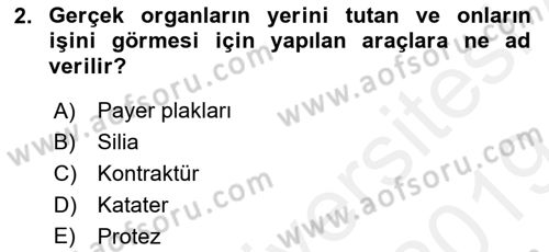 Fiziksel Rehabilitasyon Dersi 2018 - 2019 Yılı (Final) Dönem Sonu Sınav Soruları 2. Soru