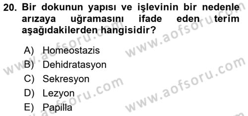 Fiziksel Rehabilitasyon Dersi 2018 - 2019 Yılı (Final) Dönem Sonu Sınav Soruları 20. Soru