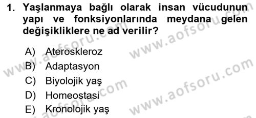 Fiziksel Rehabilitasyon Dersi 2018 - 2019 Yılı Yaz Okulu Sınav Soruları 1. Soru
