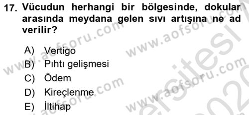 Fiziksel Rehabilitasyon Dersi Ara Sınavı Deneme Sınav Soruları 17. Soru