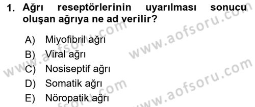 Fiziksel Rehabilitasyon Dersi 2019 - 2020 Yılı (Final) Dönem Sonu Sınavı 1. Soru