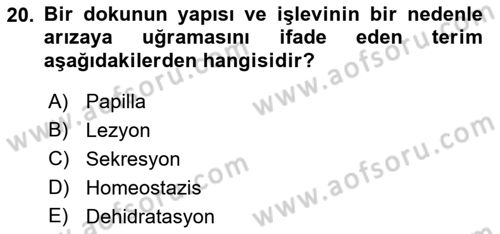 Fiziksel Rehabilitasyon Dersi 2019 - 2020 Yılı (Final) Dönem Sonu Sınavı 20. Soru