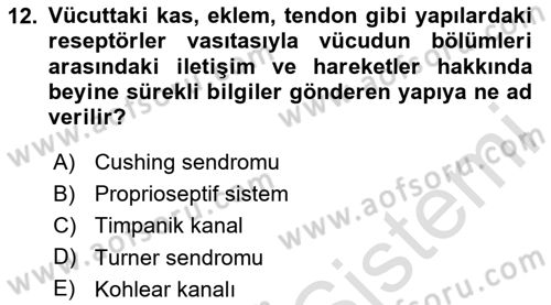 Fiziksel Rehabilitasyon Dersi 2020 - 2021 Yılı Yaz Okulu Sınav Soruları 12. Soru