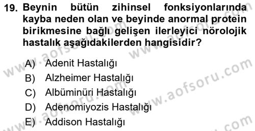 Fiziksel Rehabilitasyon Dersi Ara Sınavı Deneme Sınav Soruları 19. Soru