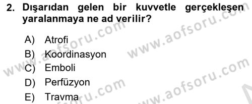 Fiziksel Rehabilitasyon Dersi 2021 - 2022 Yılı (Vize) Ara Sınav Soruları 2. Soru