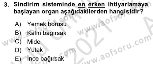 Fiziksel Rehabilitasyon Dersi Ara Sınavı Deneme Sınav Soruları 3. Soru