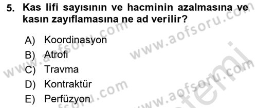 Fiziksel Rehabilitasyon Dersi Ara Sınavı Deneme Sınav Soruları 5. Soru